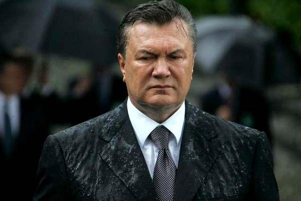Фото:  Защита Януковича