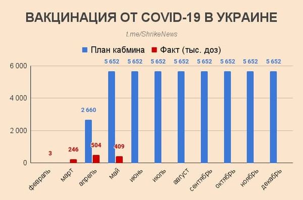 Фото дня